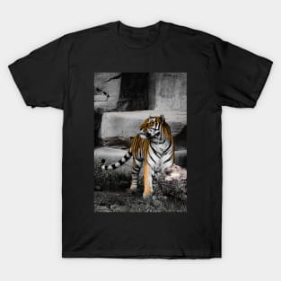 Tiger T-Shirt